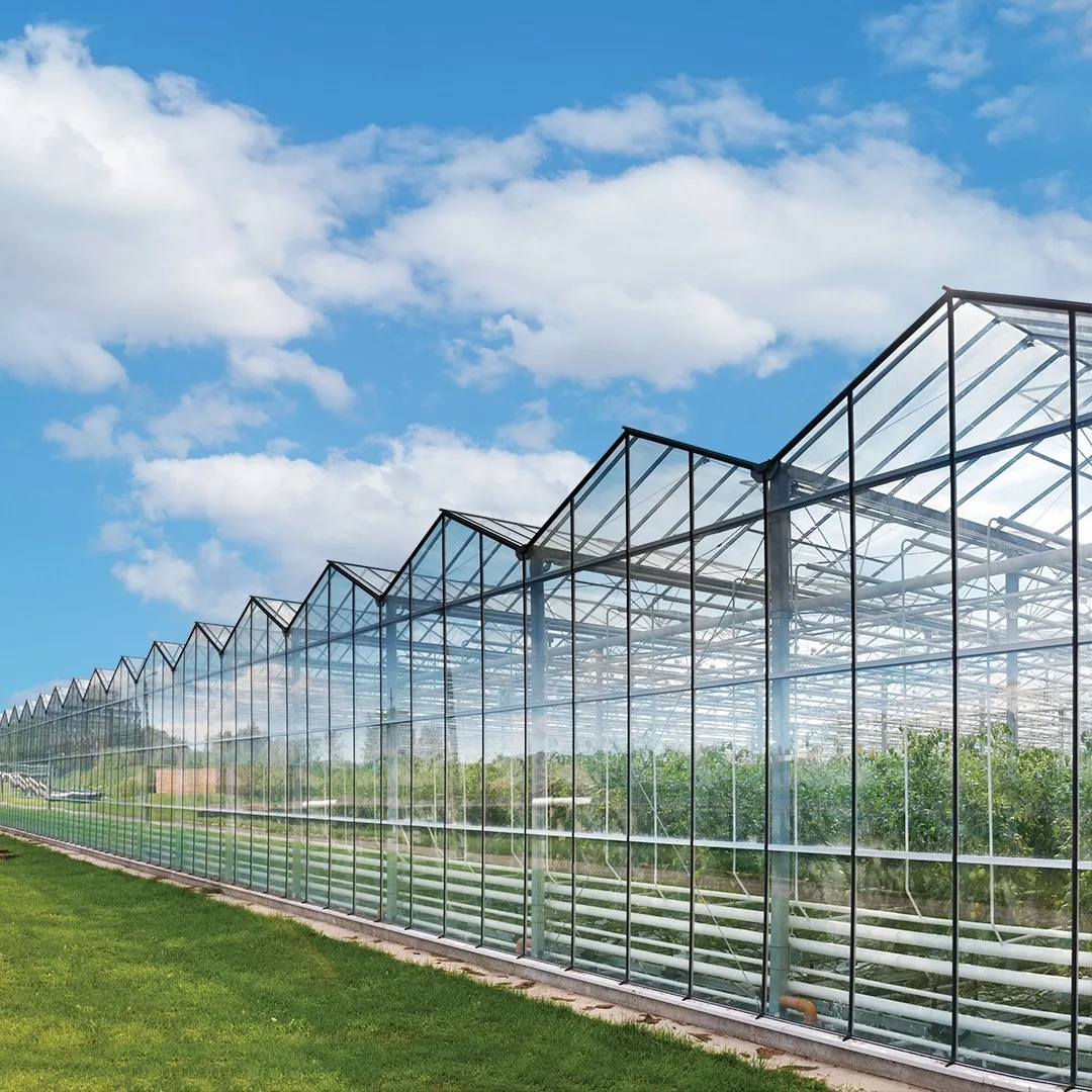 Greenhouse
