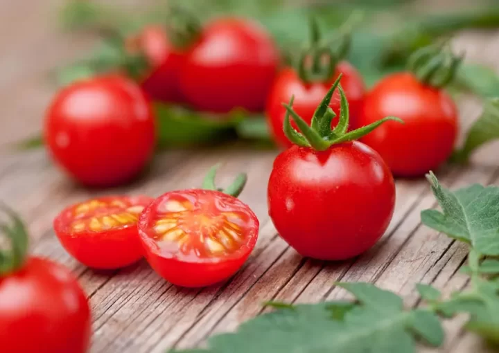 BIO-Organic Classic Tomato