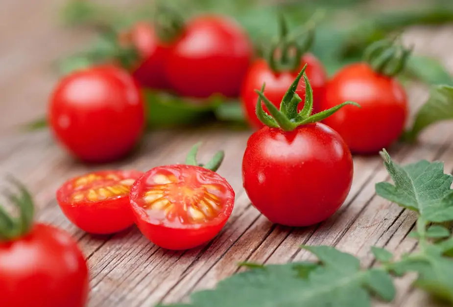 BIO-Organic Classic Tomato
